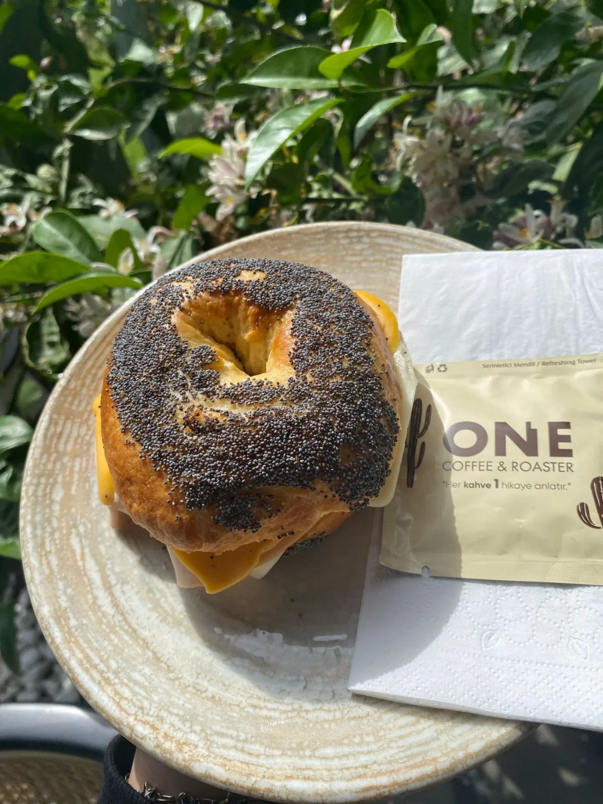 Bagel Sandviç