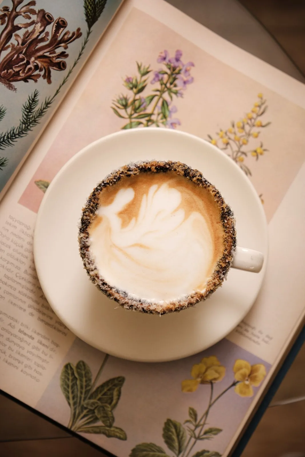 COCONUT MOCHA