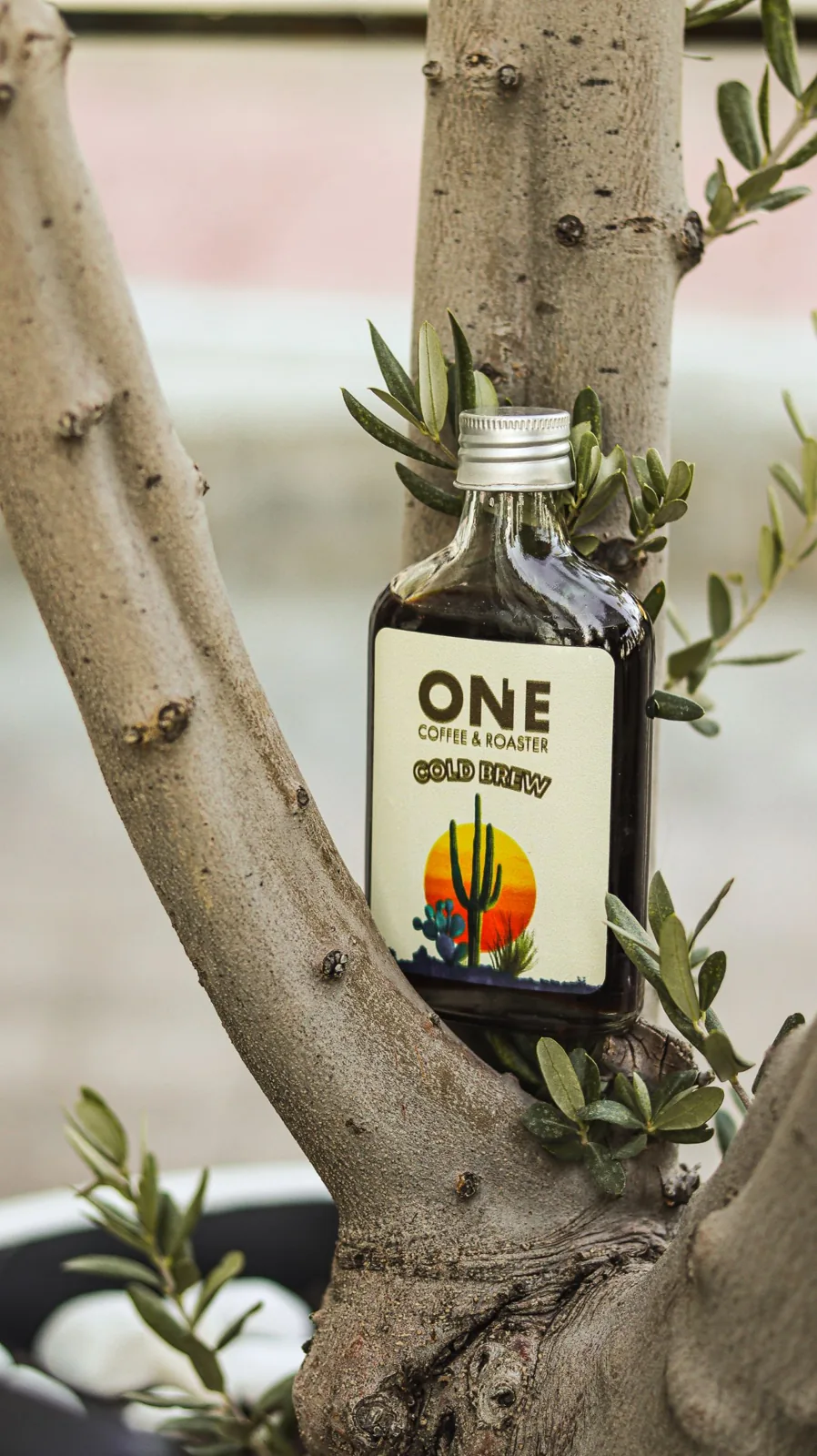 Cold Brew