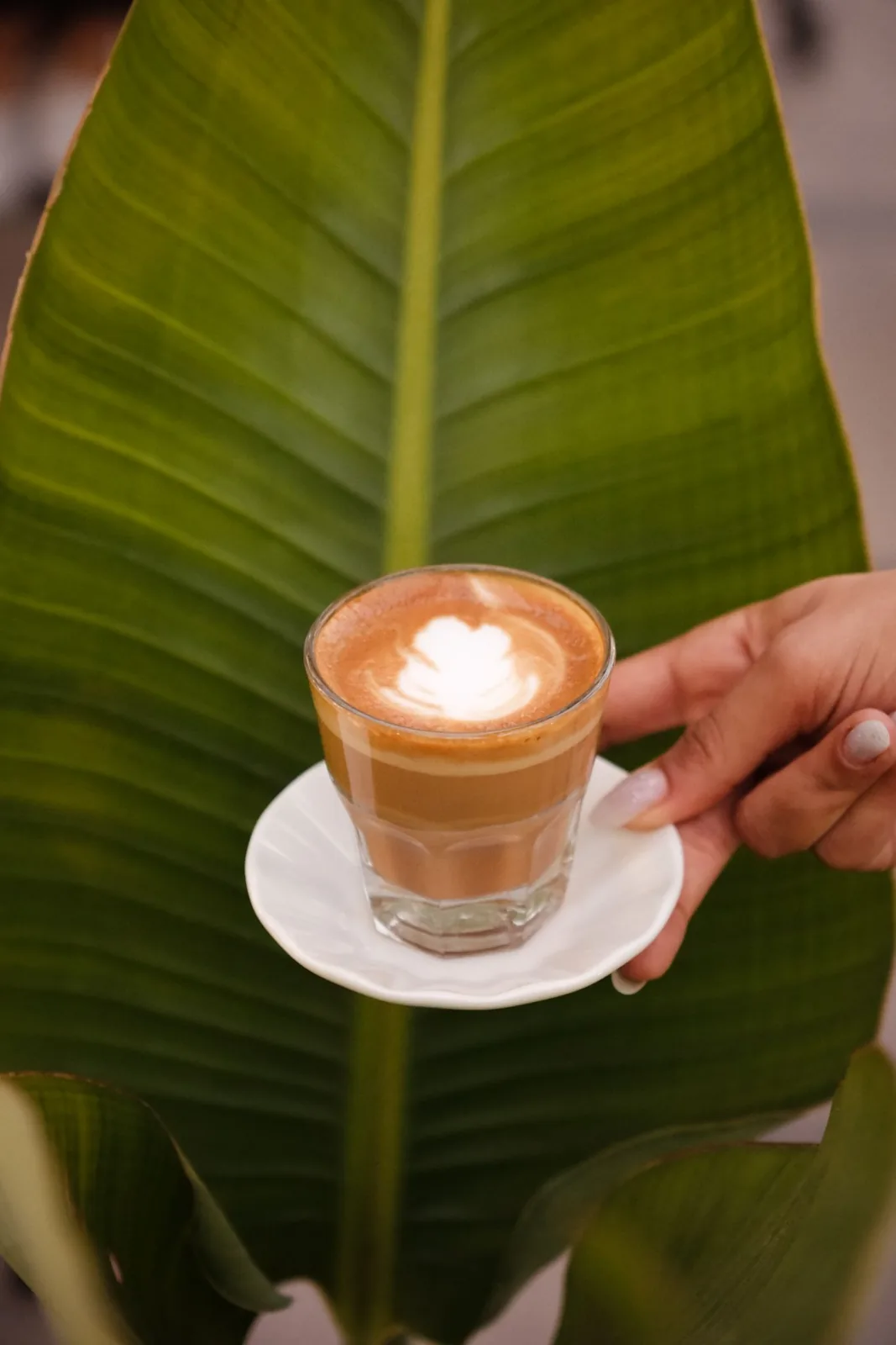 Cortado