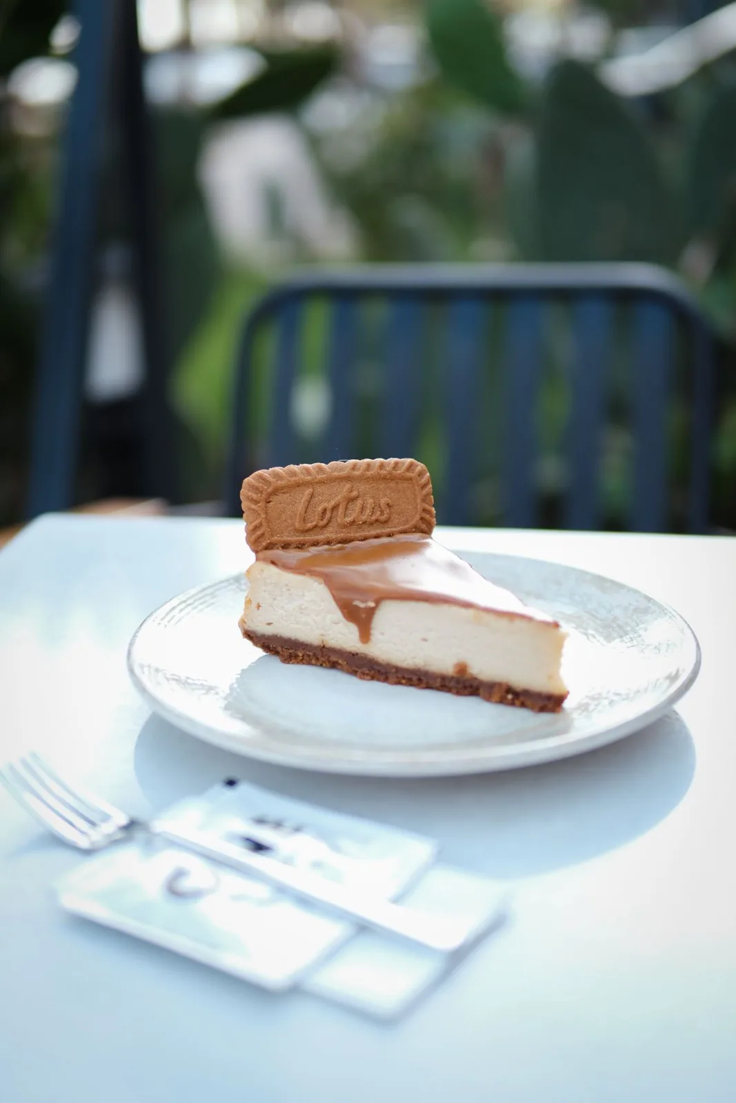 Lotus Cheesecake